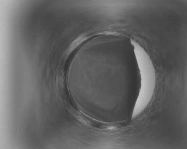 X0000080160295200612302200