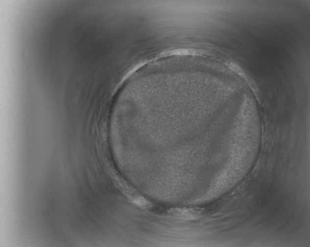 X0000080160297200612302200