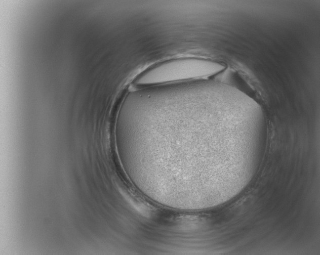 X0000080160298200612302200