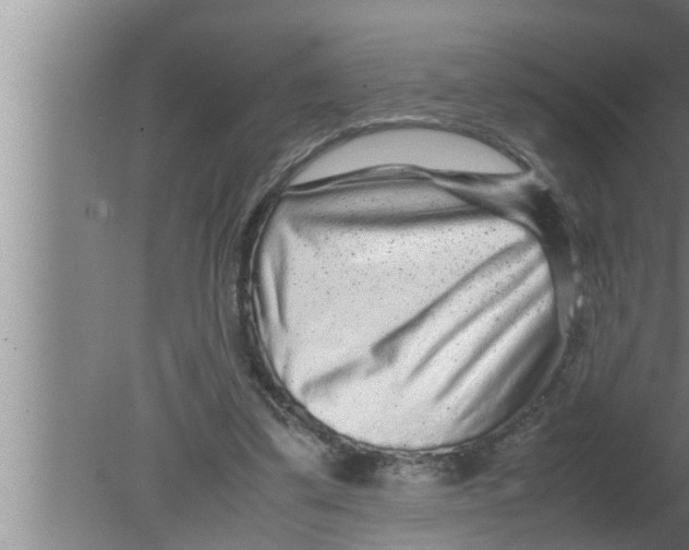 X0000080160299200612302200