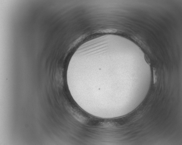 X0000080160300200612302200