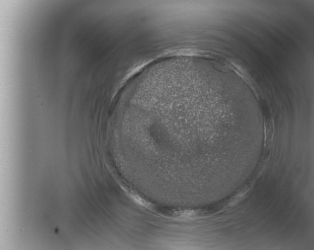 X0000080160301200612302200