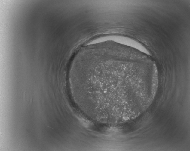 X0000080160303200612302200