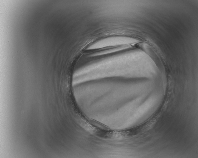 X0000080160305200612302200