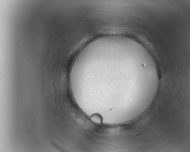 X0000080160306200612302200