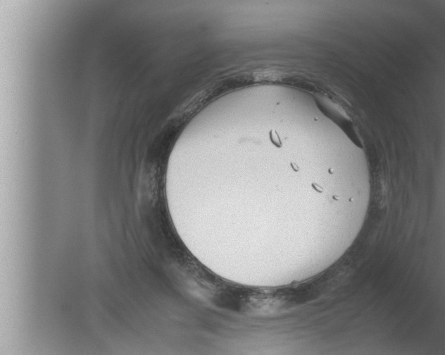 X0000080160311200612302200