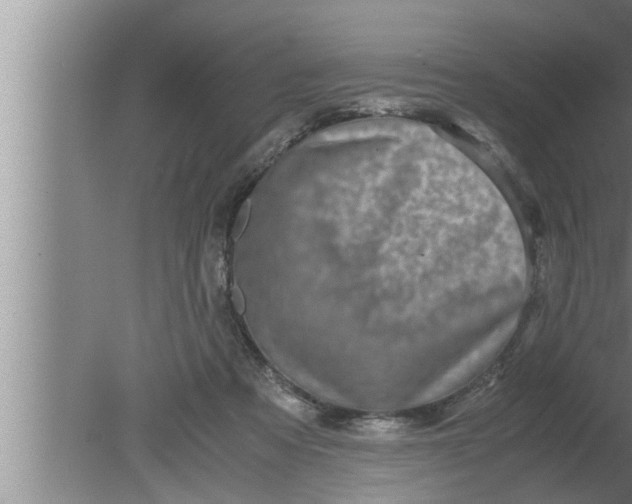 X0000080160313200612302200