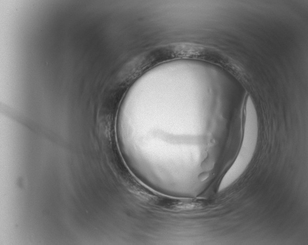 X0000080160315200612302200