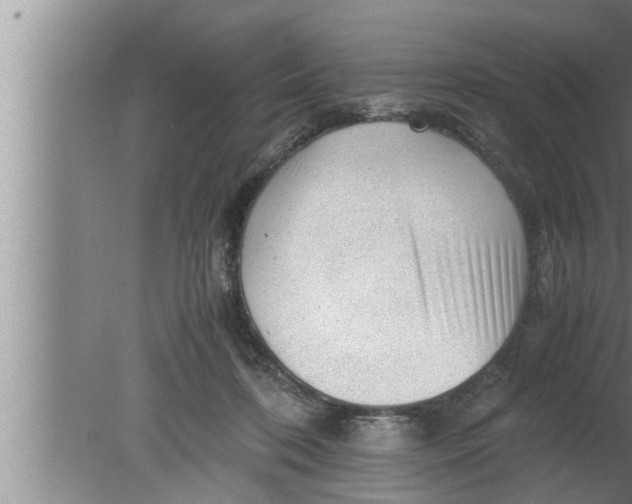 X0000080160316200612302200