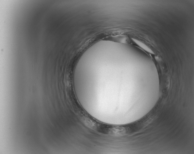 X0000080160317200612302200