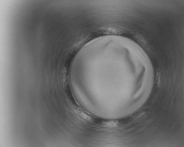 X0000080160318200612302200