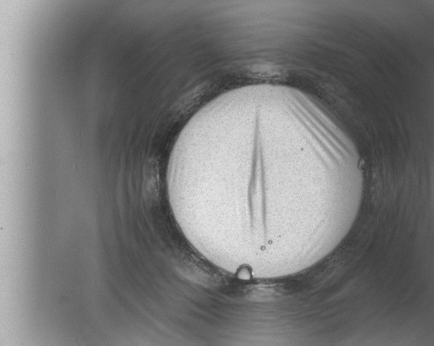 X0000080160320200612302200