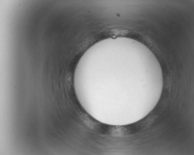 X0000080160321200612302200