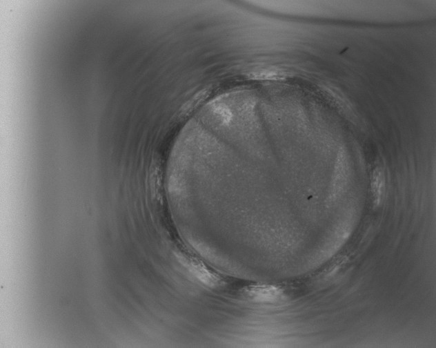 X0000080160322200612302200