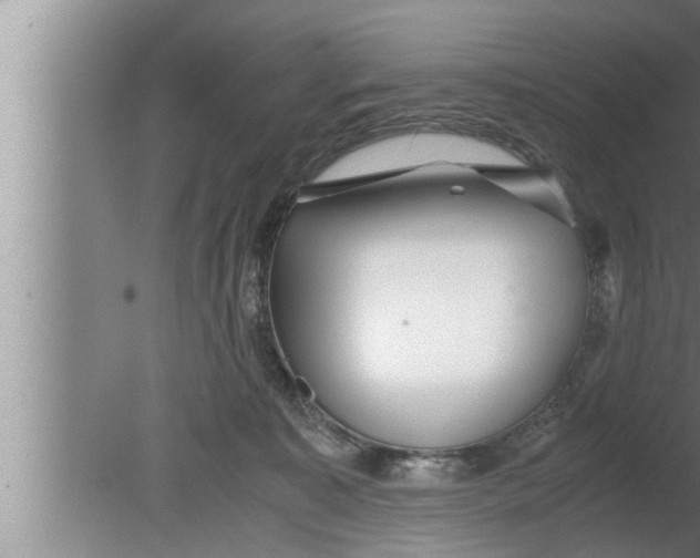 X0000080160323200612302200