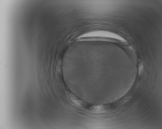 X0000080160325200612302200