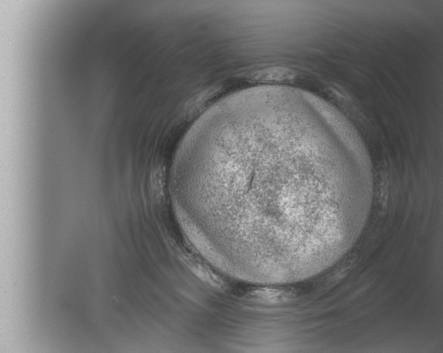 X0000080160326200612302200