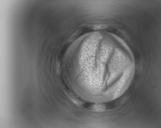 X0000080160327200612302200