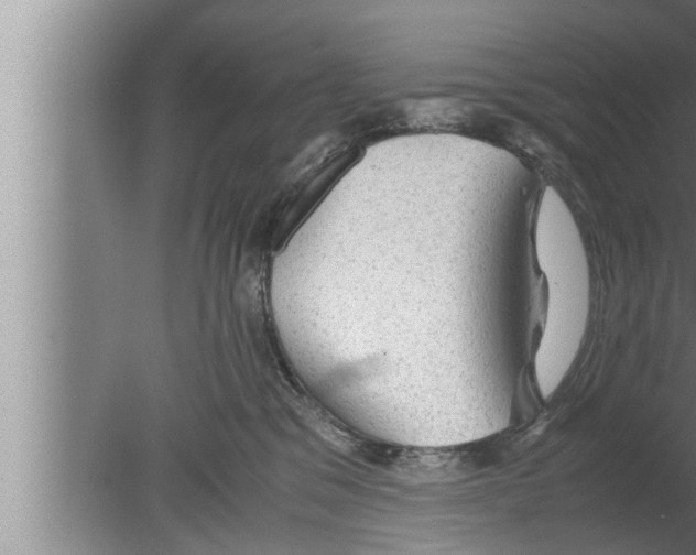 X0000080160329200612302200