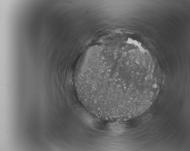 X0000080160331200612302200