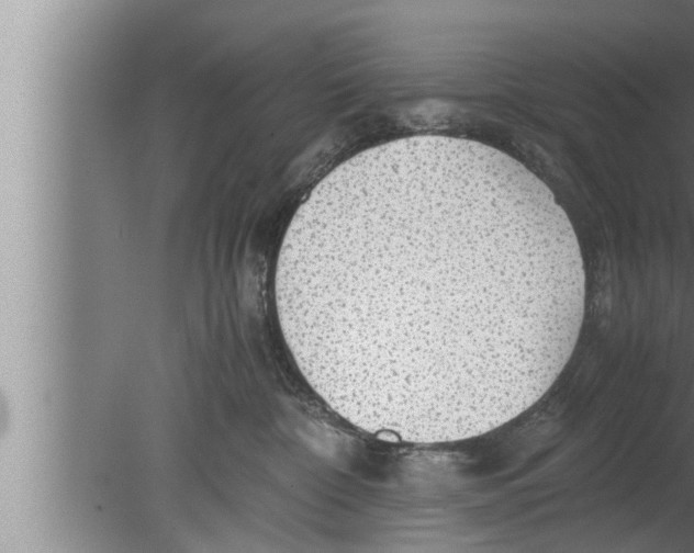 X0000080160332200612302200