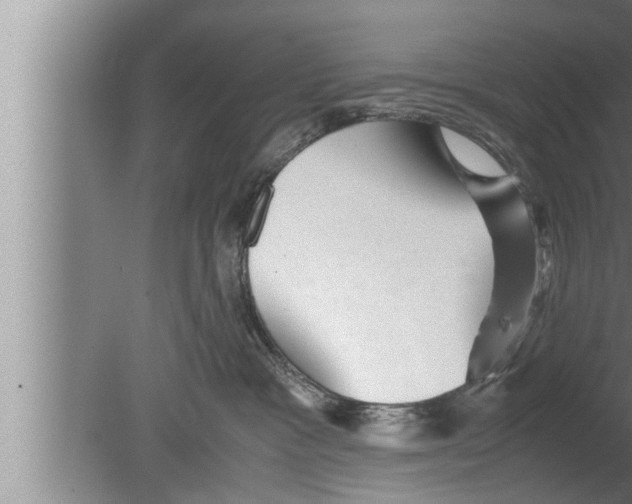 X0000080160333200612302200