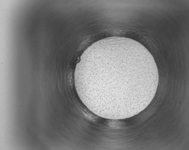 X0000080160336200612302200