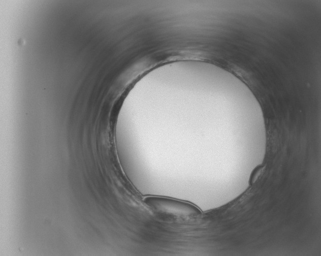 X0000080160338200612302159