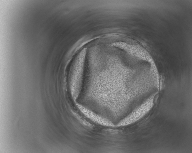 X0000080160339200612302159