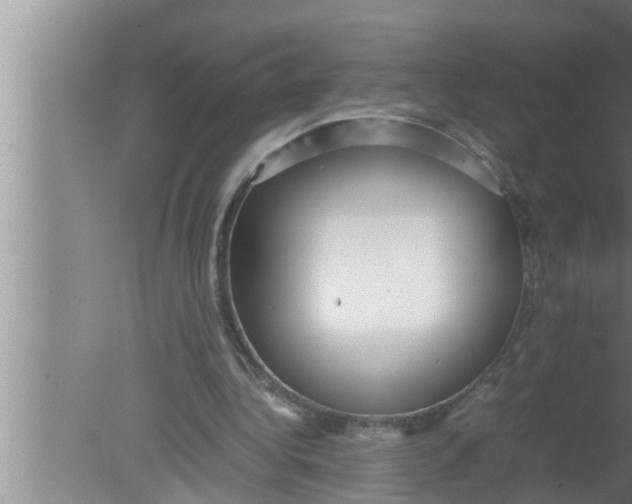 X0000080160340200612302159