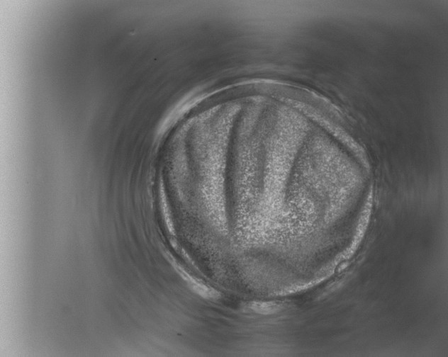 X0000080160341200612302159