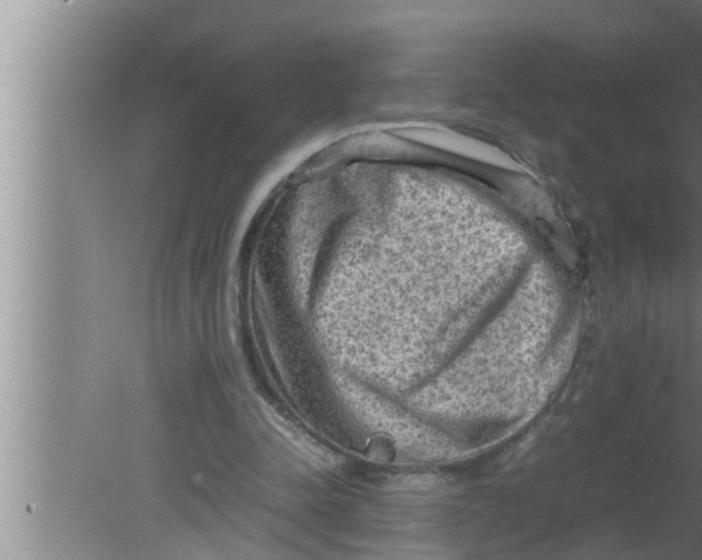 X0000080160342200612302159