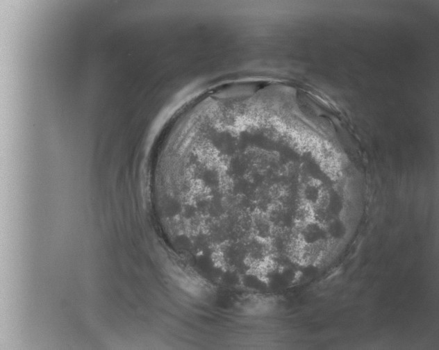 X0000080160343200612302159