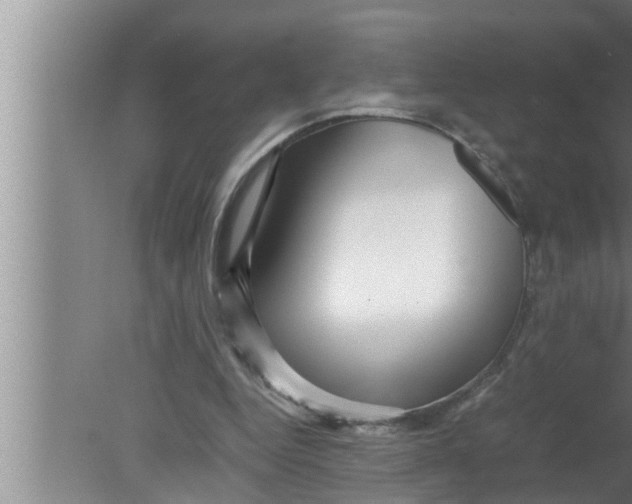 X0000080160344200612302159