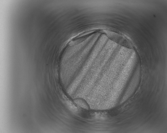 X0000080160345200612302159