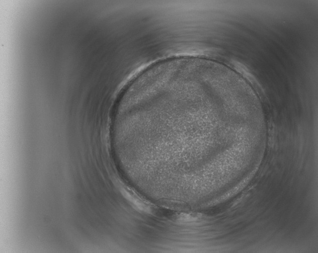 X0000080160346200612302159