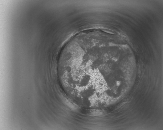 X0000080160347200612302159