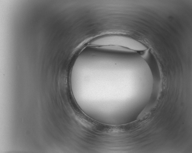 X0000080160348200612302159