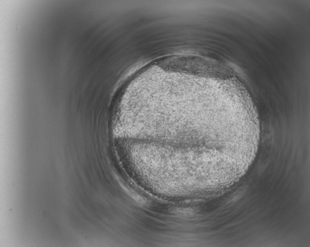 X0000080160349200612302159