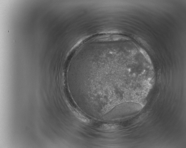 X0000080160351200612302159