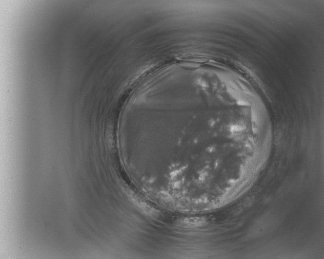 X0000080160353200612302159