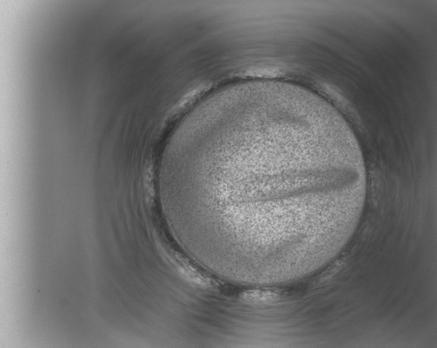 X0000080160354200612302159