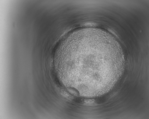 X0000080160355200612302159