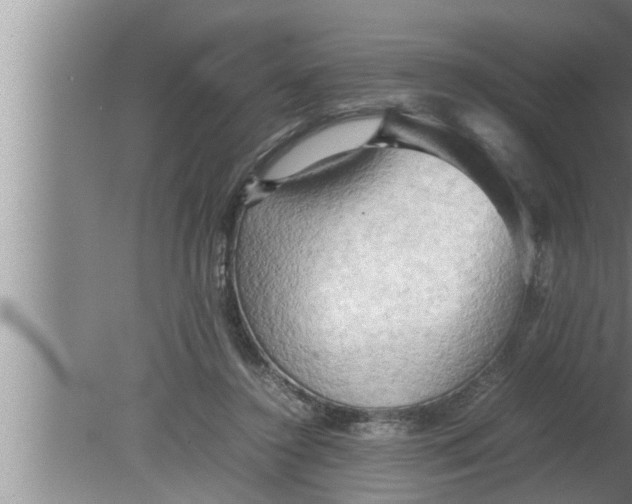 X0000080160356200612302159