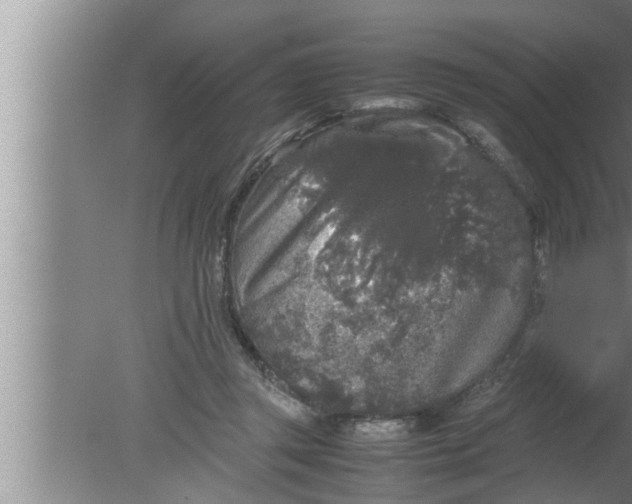 X0000080160357200612302159