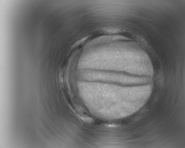 X0000080160360200612302159