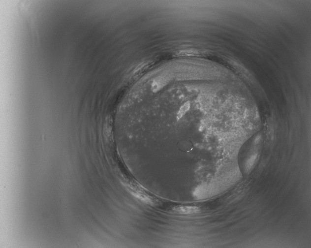 X0000080160361200612302159