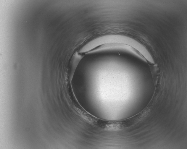 X0000080160362200612302159