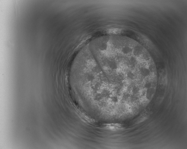 X0000080160363200612302159