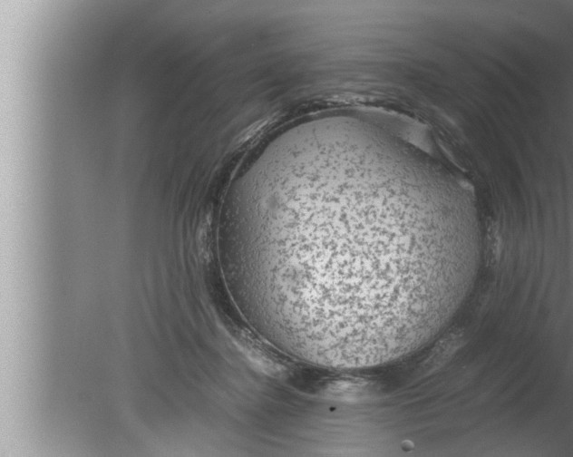 X0000080160364200612302159